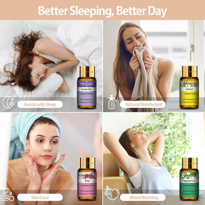 S1eb4cc6ebc3d4c4088bf644924c79badW