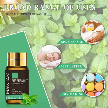 Sc0cde6335a364bd4baa6d9e90e131b8bw